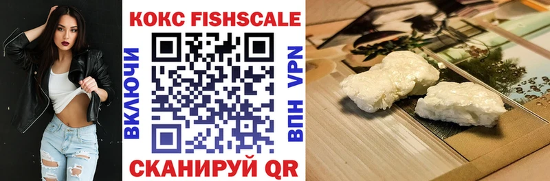 Cocaine Fish Scale  Губкин 