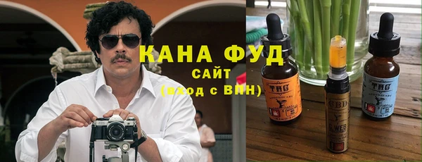 гидра Богданович