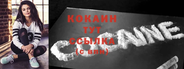 гидра Богданович