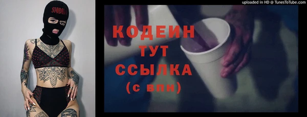 гидра Богданович