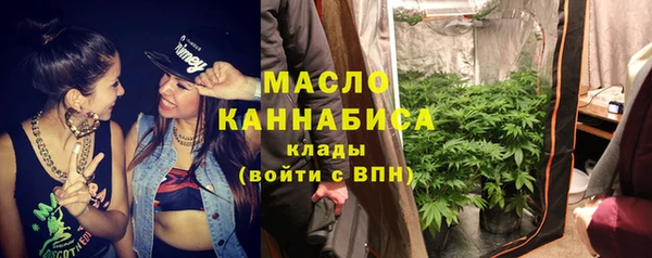 гидра Богданович