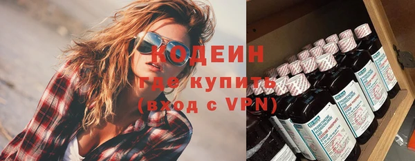хмурый Богородск