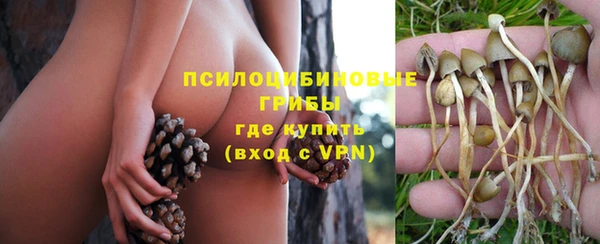 хмурый Богородск